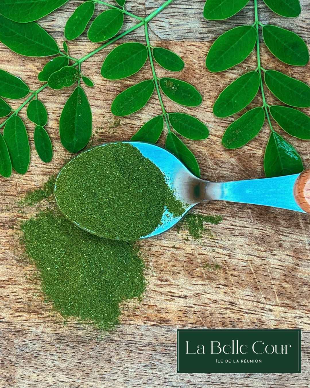 Poudre de Feuilles de Moringa - Une poudre fine et nutritive, résultat de la transformation des feuilles de Moringa.